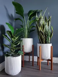Artificial plant gift